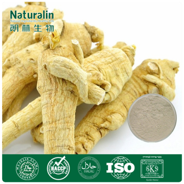 anax ginseng root extract power with ginsenosides /100% Natural Ginseng Root Extract