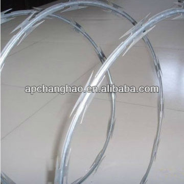 CBT-65 razor barbed wire