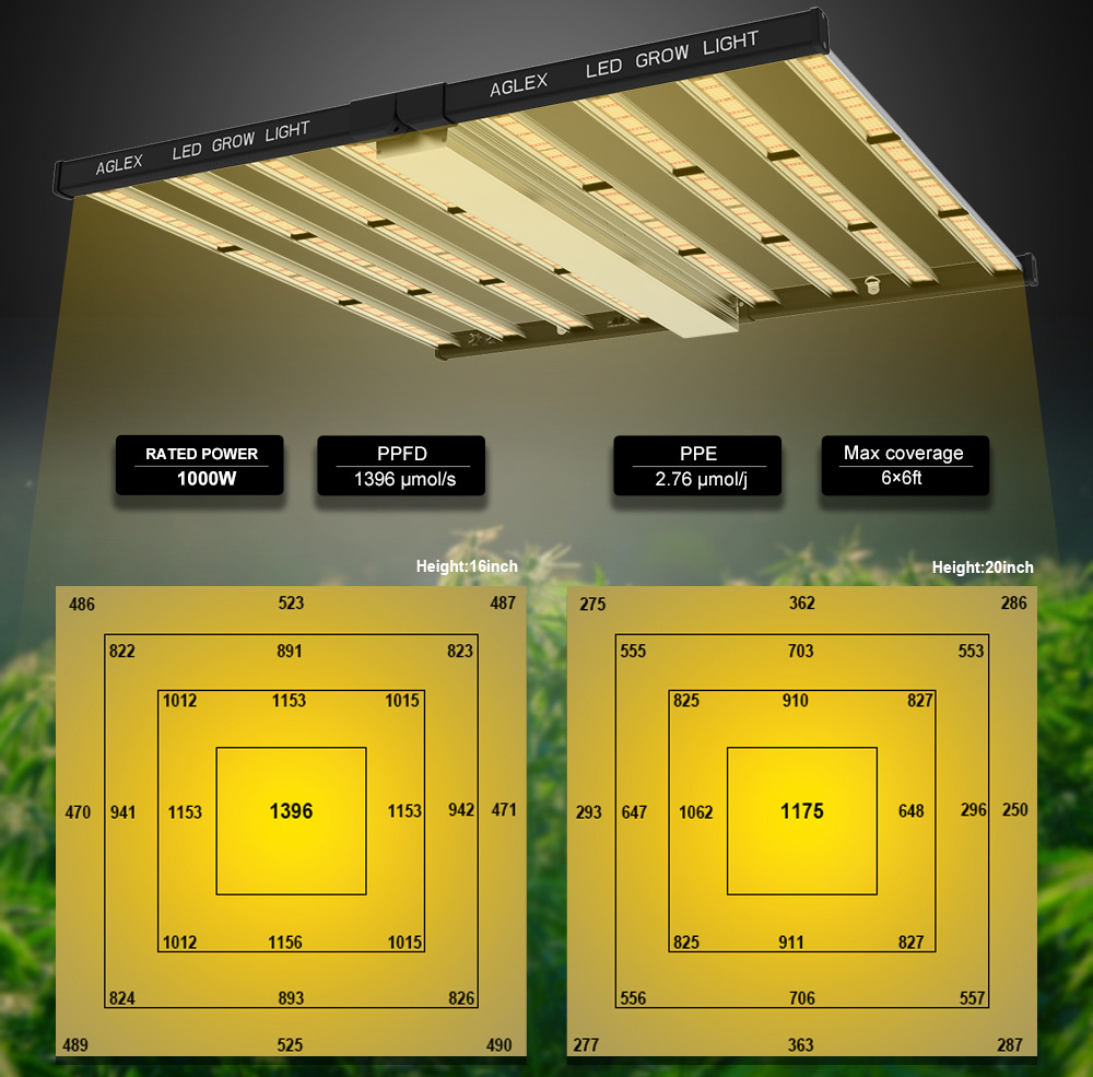 Plantas médicas profissionais de 1000W crescem luz