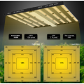 1000W LED de espectro completo crescer luzes para horticultura