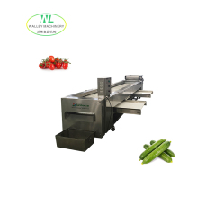 Customizing Industrial Cherry Tomato Grader and Longan Sorting Machine Classification