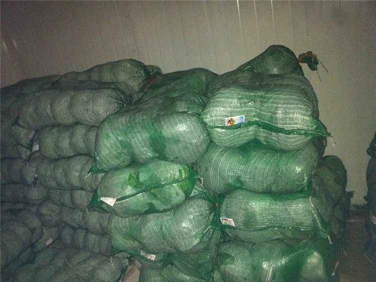 Chinese Fresh Cabbage Bulk Price