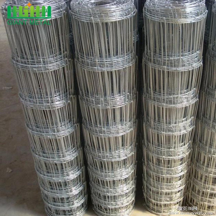 Hot Sale Galvanized  Cheap Farm Fence