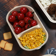 Degradable disposable packaging box bagasse pulp sushi takeaway salad bento environmentally friendly 2 compartments
