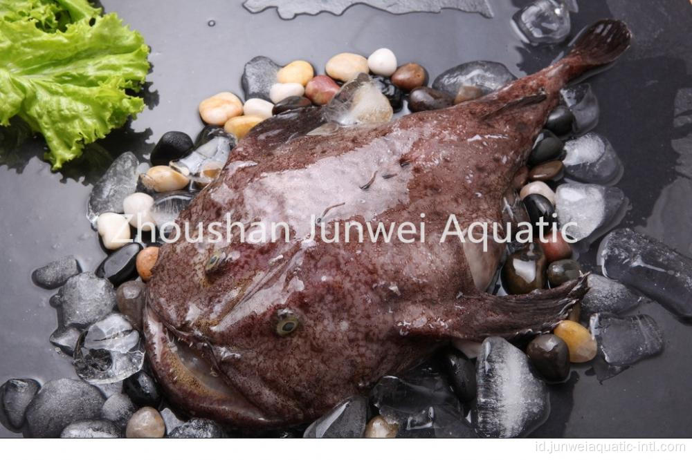 Monkfish beku segar yang enak