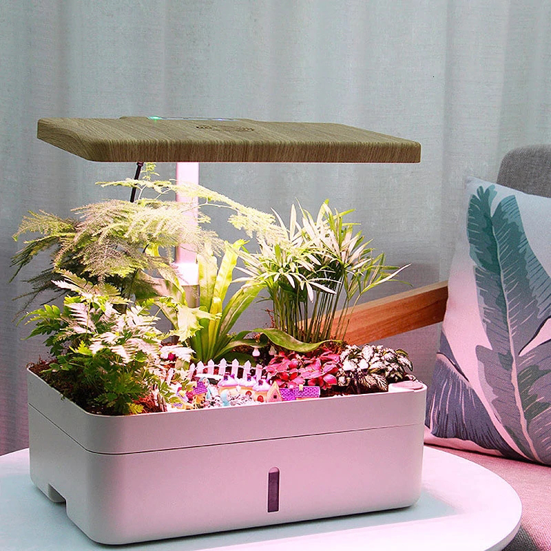 Mini desk indoor growing hydroponic system