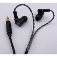 Écouteurs Hi Res IEMs avec câble détachable