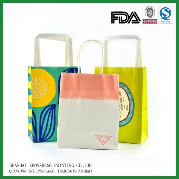 Twsited / flat handles printed paper shopping bag, cheap paper shopping bag wholesale