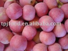 red fuji apples grade AB for Indian market
