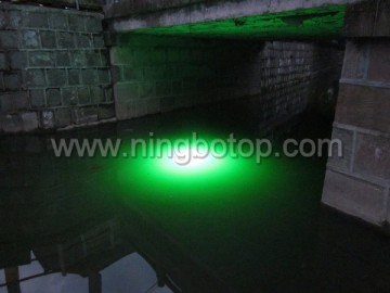 Green LED Squid Light