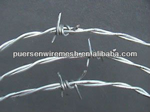 Border barbed wire fence