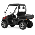 Jeep 200cc gas UTV EFI asiento plegable