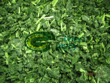 New Crop of IQF Frozen Chopped Spinach Vegetables