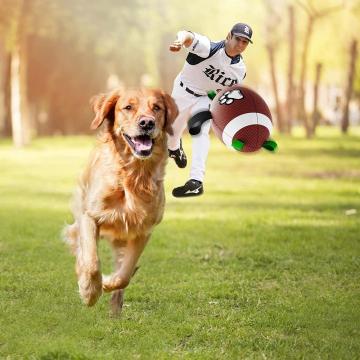 Calcio dei giocattoli del cane