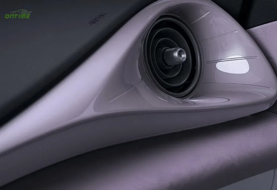 Ontime New Energy Electric Vehicle Series Dolphin Equipped with 420 Km Battery Range Environmentally Friendly Car
