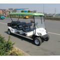 Chariots de golf personnalisés à piles avec caisse de chargement