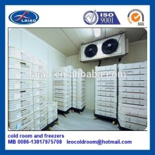 deep freezer blast frozen freezer