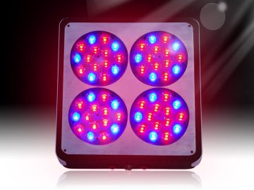 Apollo 4 LED grow light