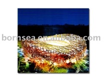 Canvas print for Nest