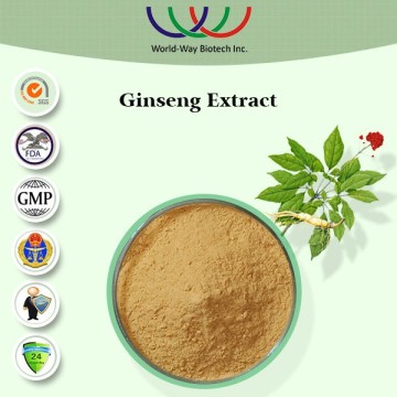 100% soluble in water panax ginseng extract, high quality korean red ginseng extract,Panax ginseng roots extract powder                        
                                                Quality Choice