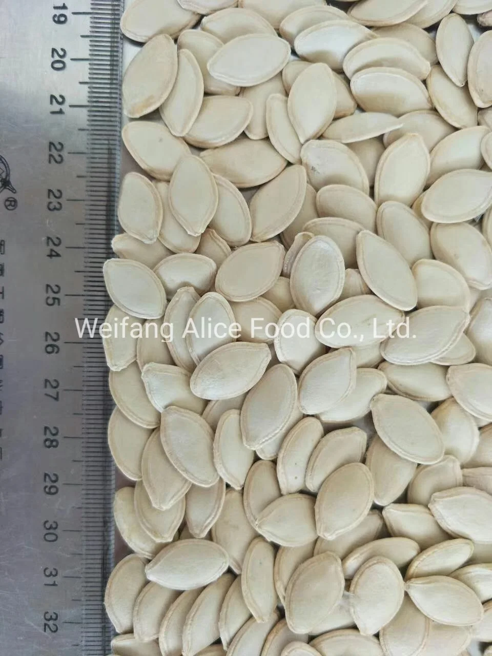 Factory Directly Sale Halal Kosher Certificated 8.3-10mm Size Shine Skin Pumpkin Seeds