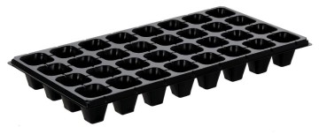 32 Cell tray seedlings