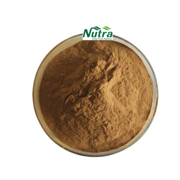 Organic Agaricus Bisporus Mushroom Extract Powder