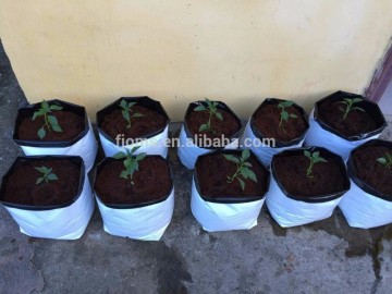 Plastic growing bags for vegetable planting