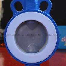 Butterfly Valve with Teflon Linear