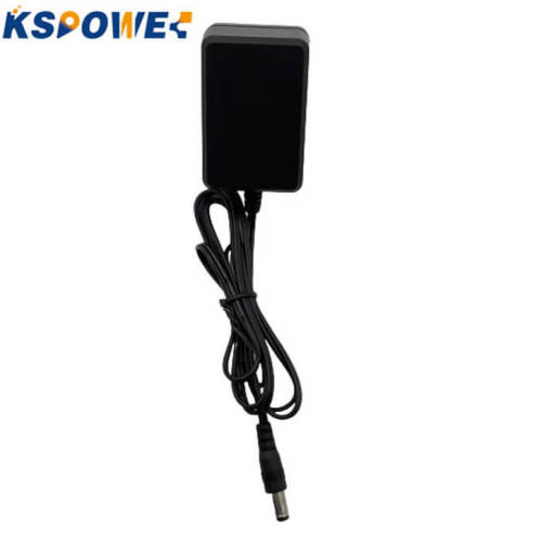 EU -Wand montiert 220 V bis 15 V1A DC -Adapter