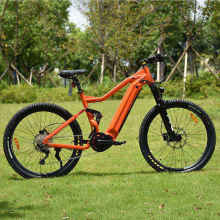 Adult-Assisted Foldable Aluminum Alloy Shock-Absorbing Electric Bicycle