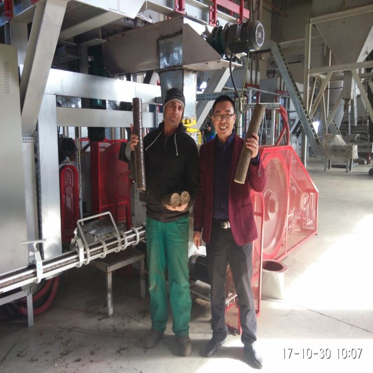 Factory Direct Sale Wood Sawdust Briquette Fuel Plant Biomass Briquette Extruder Machine Pressing machine