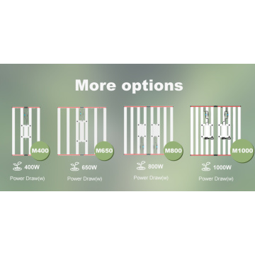 Γρήγορη αποστολή 1000W Πλήρες φάσμα LED Αναπτύσσεται φως