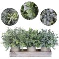 Set of 3 Mini Potted Artificial Eucalyptus Plants