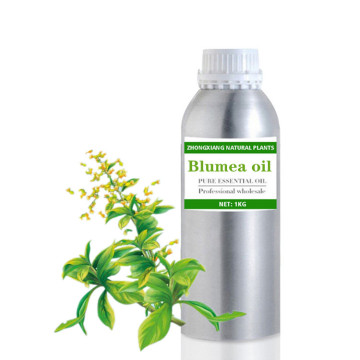 Aceite esencial de Blumea balsamifera al por mayor