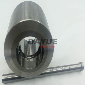 Chinesische Fabrik Custom Carbide Compacting Dies and Punches