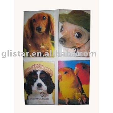 PP Cover Exercise Book