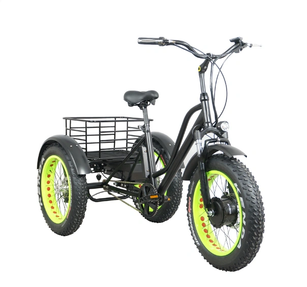 Wholesale 20 Inch Powerful Motor Fat Tire Electric Tricycle in China