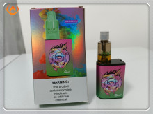 R M BOX PRO 6000 Puffs Dispoable Vape