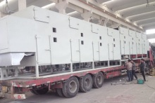 Fresh White Button Mushroom Dryer