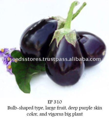 EP 310 Hybrid Eggplant Seeds