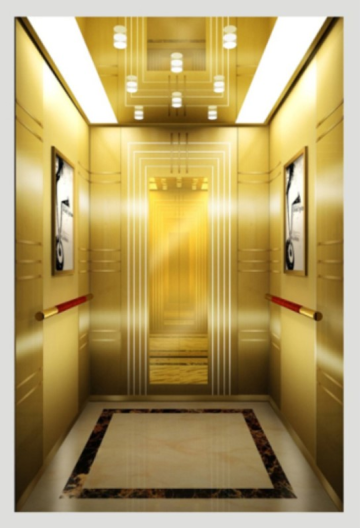 Modern Design Passenger Elevator for Apartment