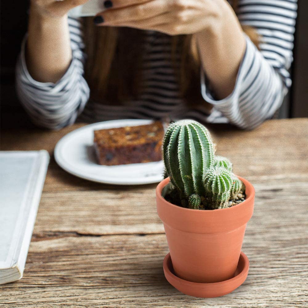 3 tum små terrakotta krukor med tefat