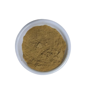 100% Natural wormwood herb extract 98% artemisinin Sweet Wormwood Leaves Extract Wormwood powder