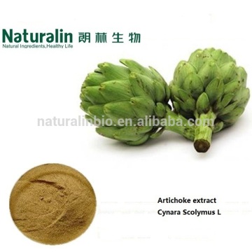 Natural Plant Extract GMP Supplier Artichoke Leaf Extract Powder Artichoke Extract