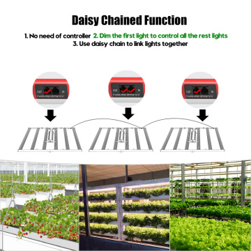 2021 paling populer diammable grow light 650w