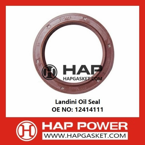 Landini Blizard 50 Oil Seal 12414111