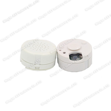 Voice Recorder, Digital Voice Recorder, Sound Module