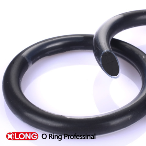 Encapsulated O Ring