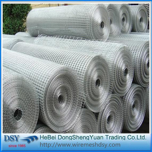 galvanis dilas wire mesh rolls untuk dijual